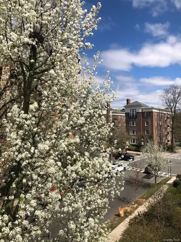 15 Meadow Avenue Bronxville NY 10708