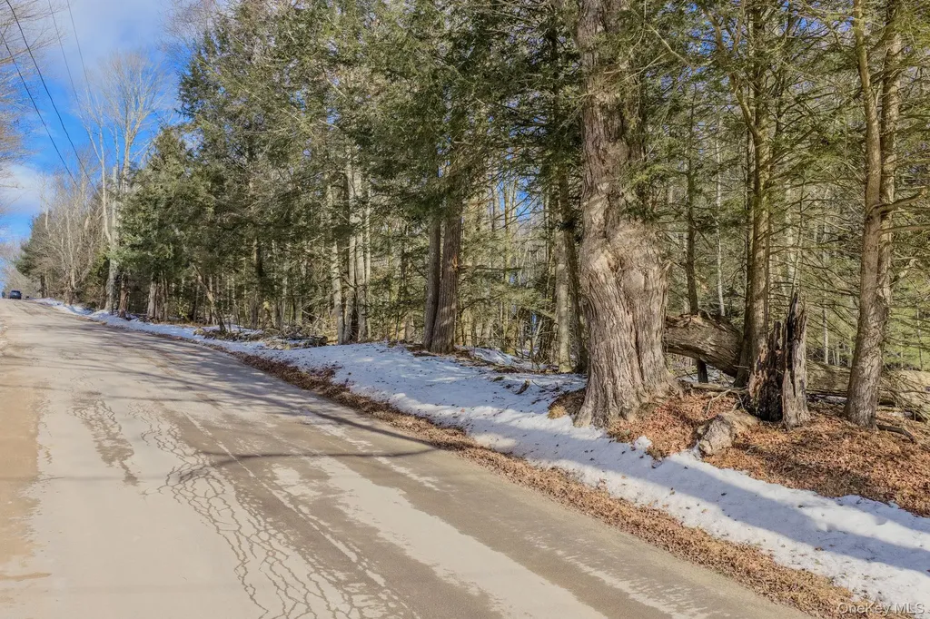 Soule Road Bethel NY 12720