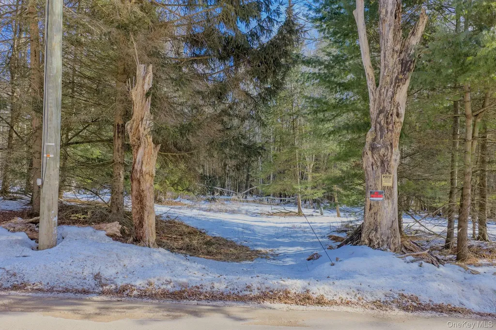 Soule Road Bethel NY 12720