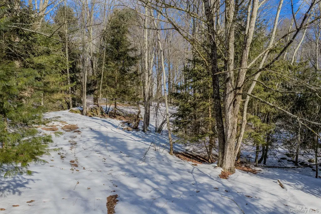 Soule Road Bethel NY 12720