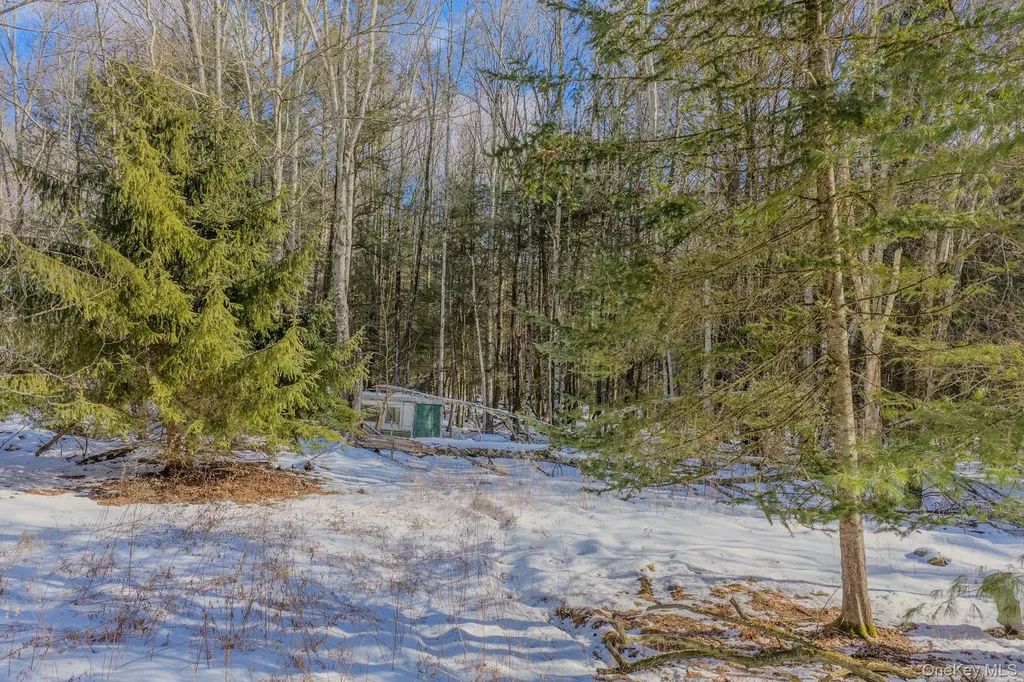 Soule Road Bethel NY 12720