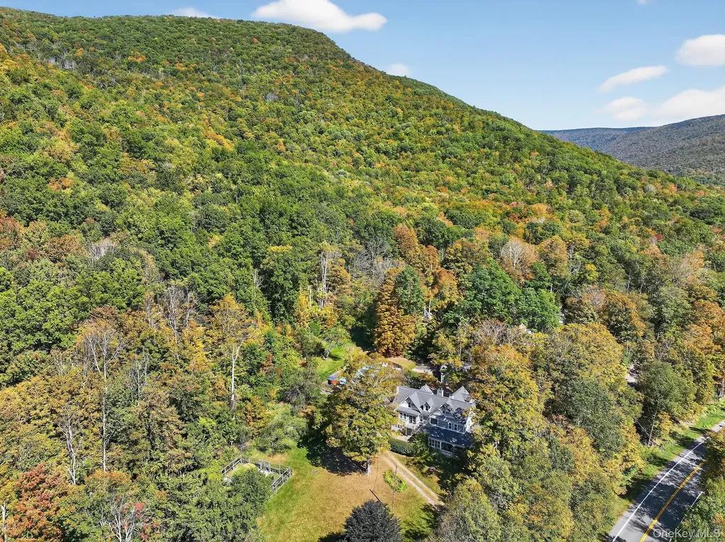 1739 Ny-214 Hunter NY 12442