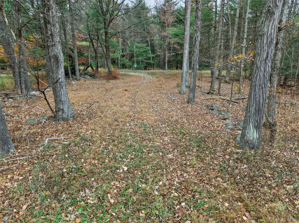 742 Peenpack Trail Sparrowbush NY 12780