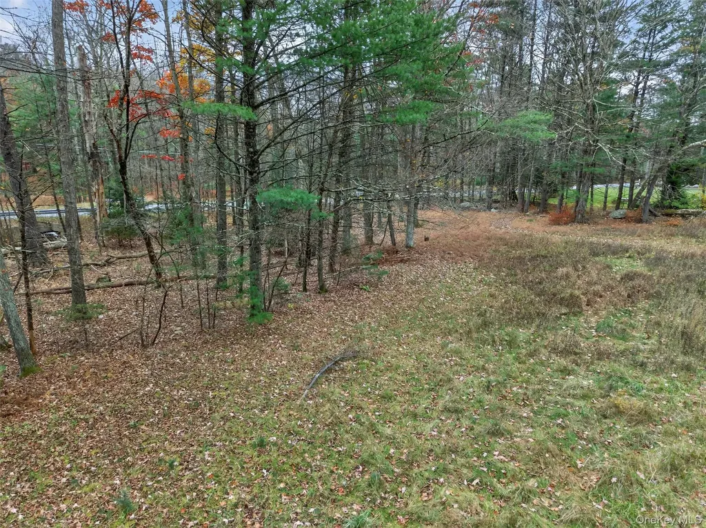 742 Peenpack Trail Sparrowbush NY 12780
