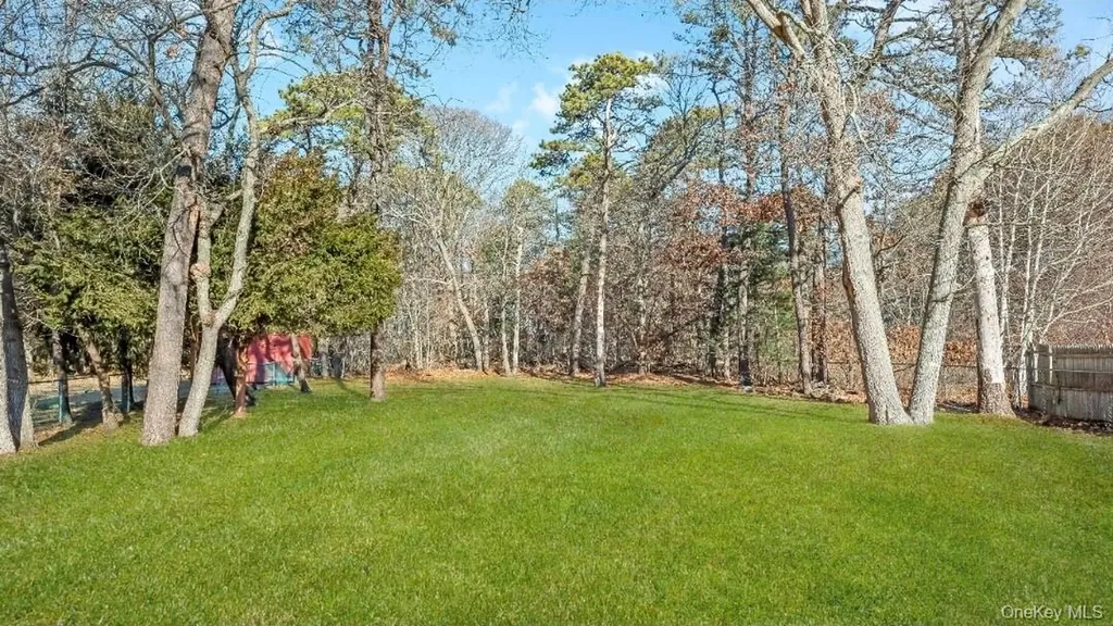 59 Nelson Road Selden NY 11784