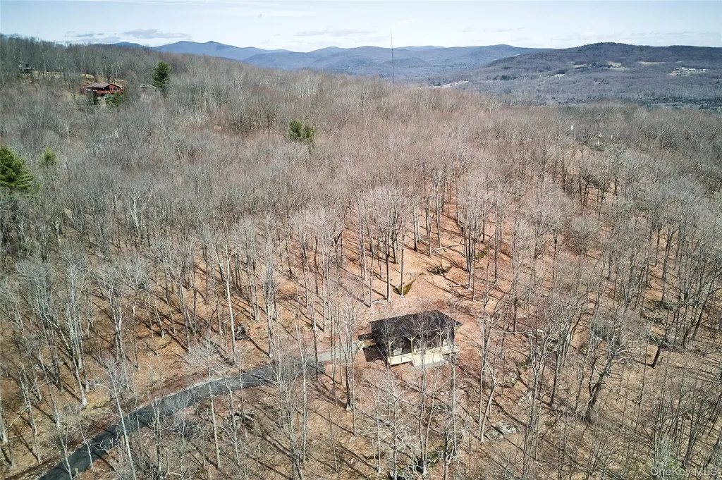 84 Skyline Drive Neversink NY 12765