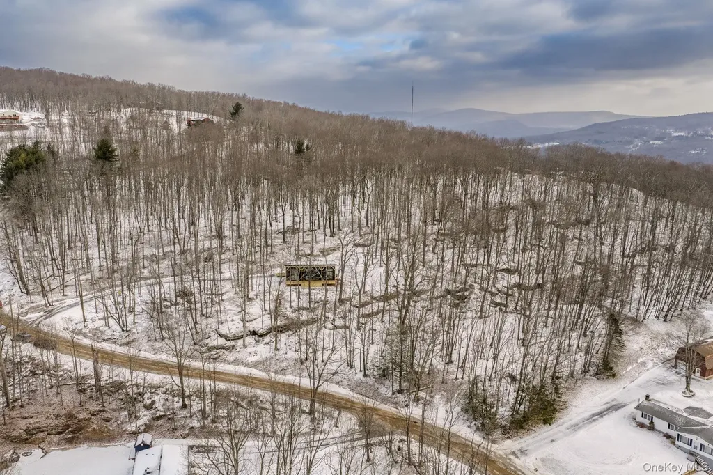 84 Skyline Drive Neversink NY 12765