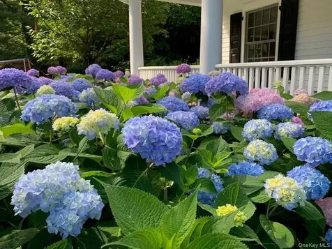 8 Richbell Road Scarsdale NY 10583