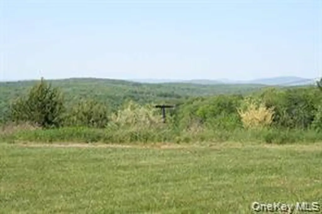 Meadowlark Road Fallsburg NY 12733