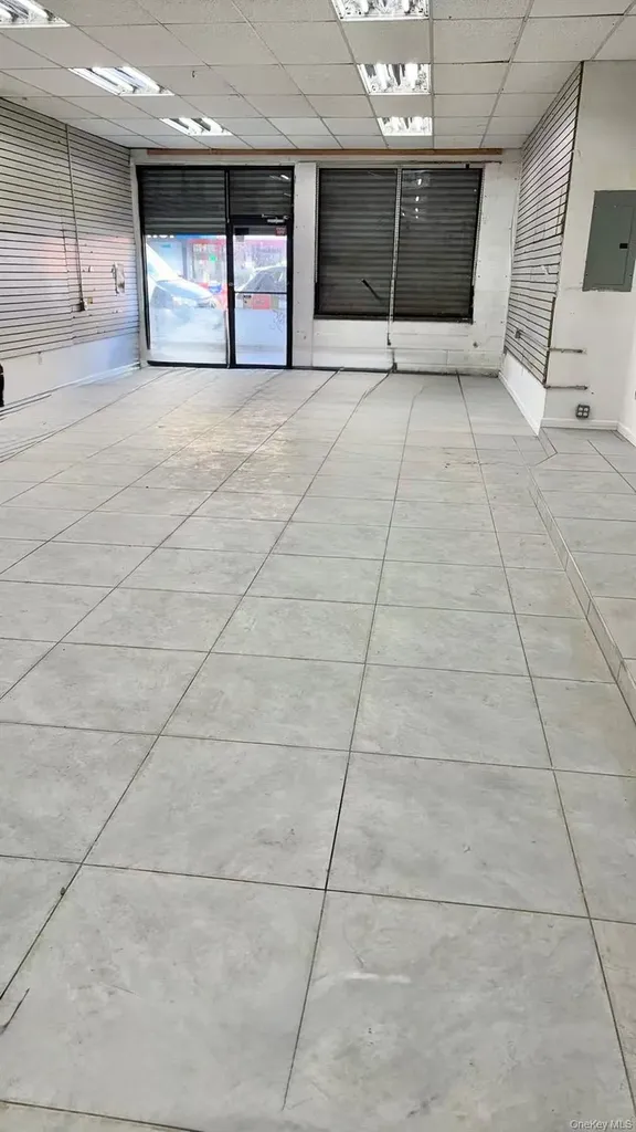 264-A Schenectady Avenue Brooklyn NY 11213
