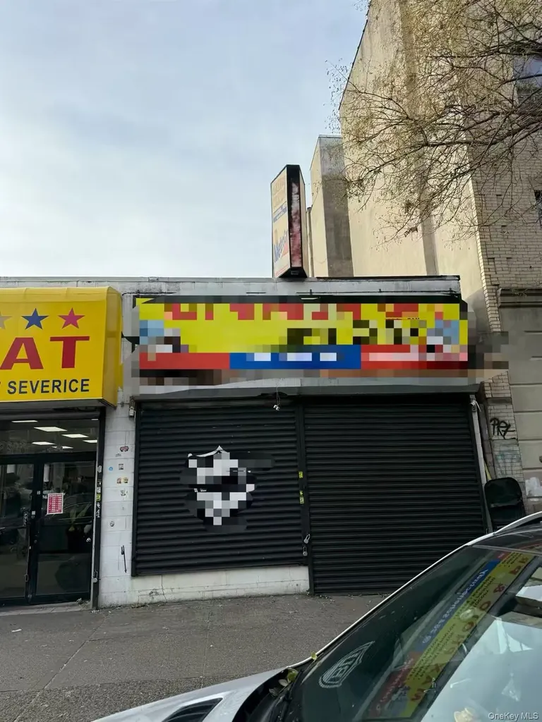 264-A Schenectady Avenue Brooklyn NY 11213