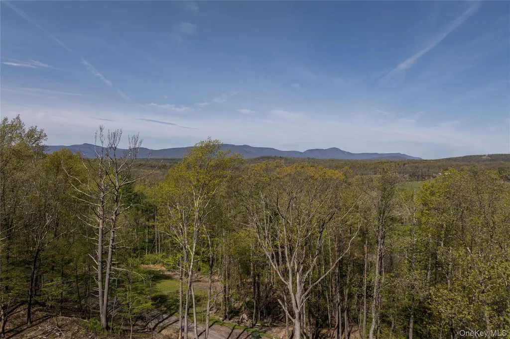 120 Cauterskill Avenue Catskill NY 12414