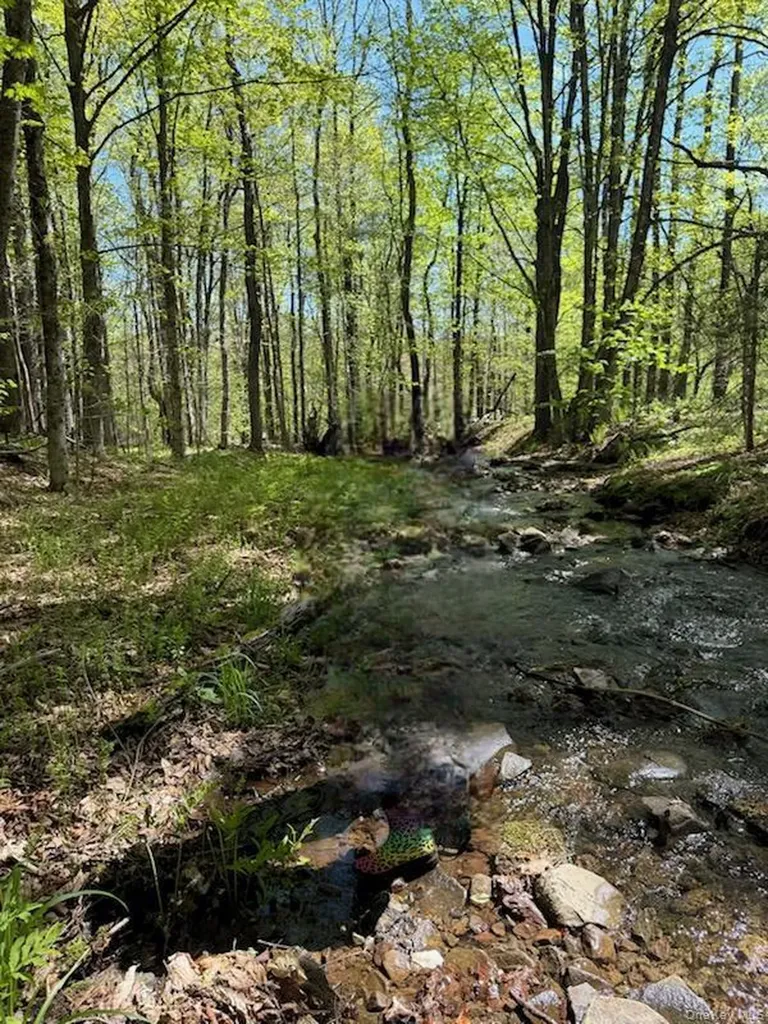 Cr 92 Roscoe NY 12736