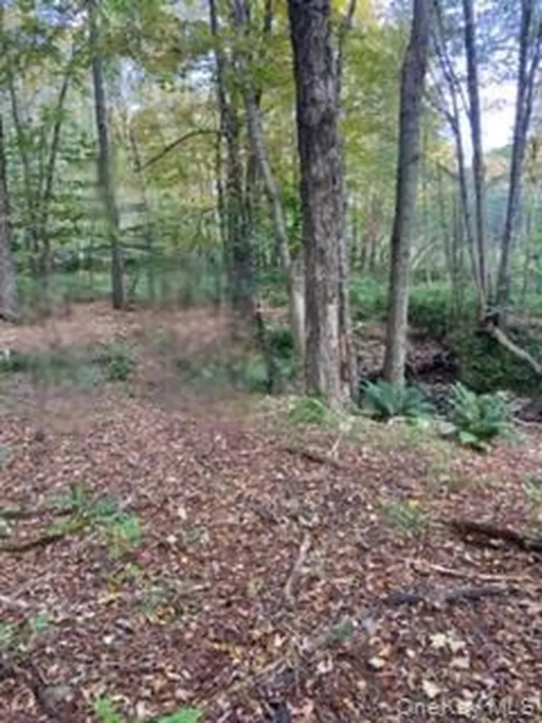 Cr 92 Roscoe NY 12736