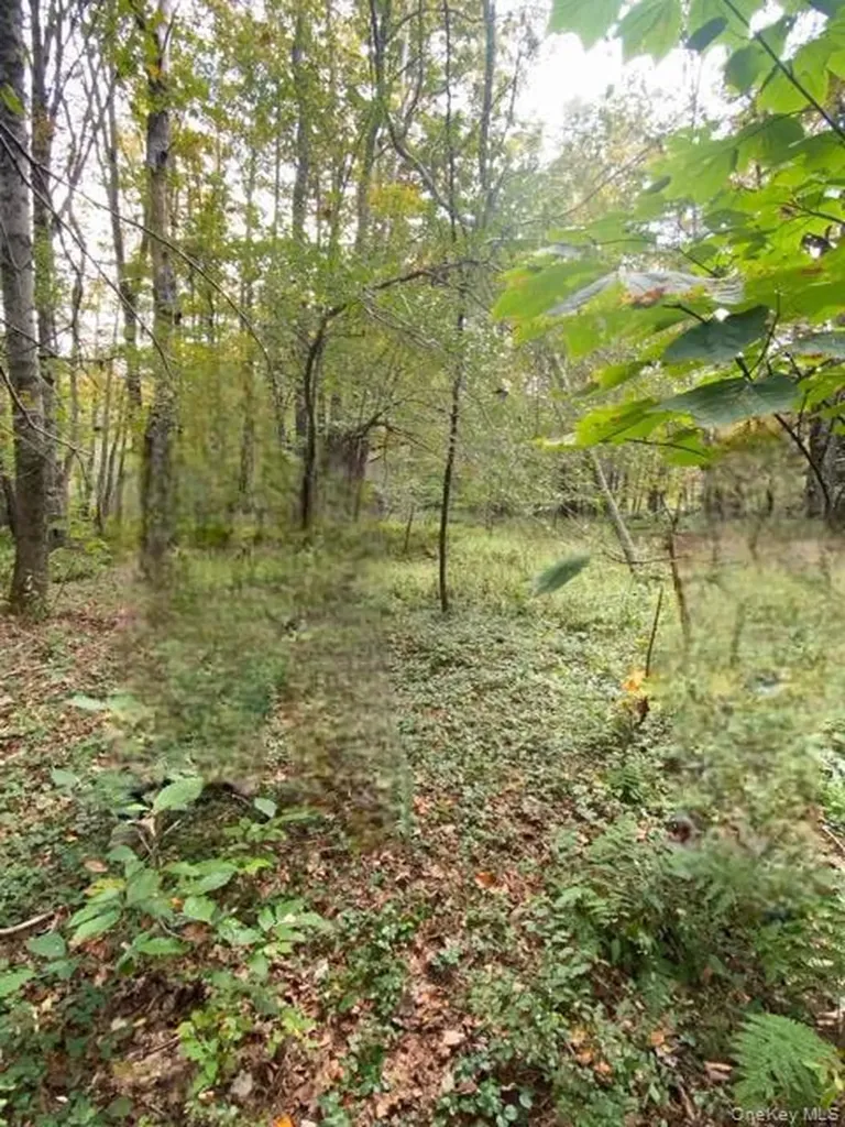 Cr 92 Roscoe NY 12736