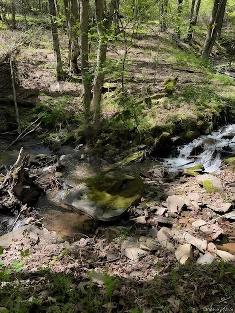 Cr 92 Roscoe NY 12736
