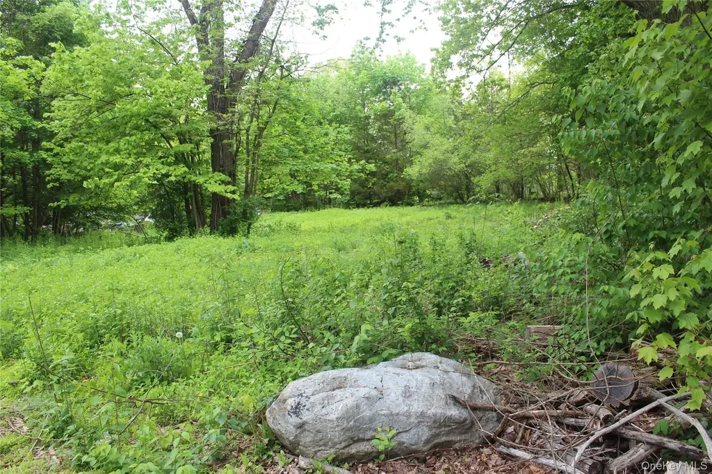 30 Harding Way Monroe NY 10950