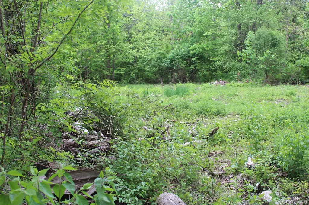 30 Harding Way Monroe NY 10950