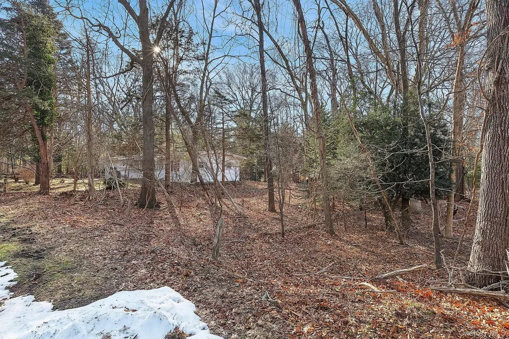 37 Cedar Drive Springs NY 11937