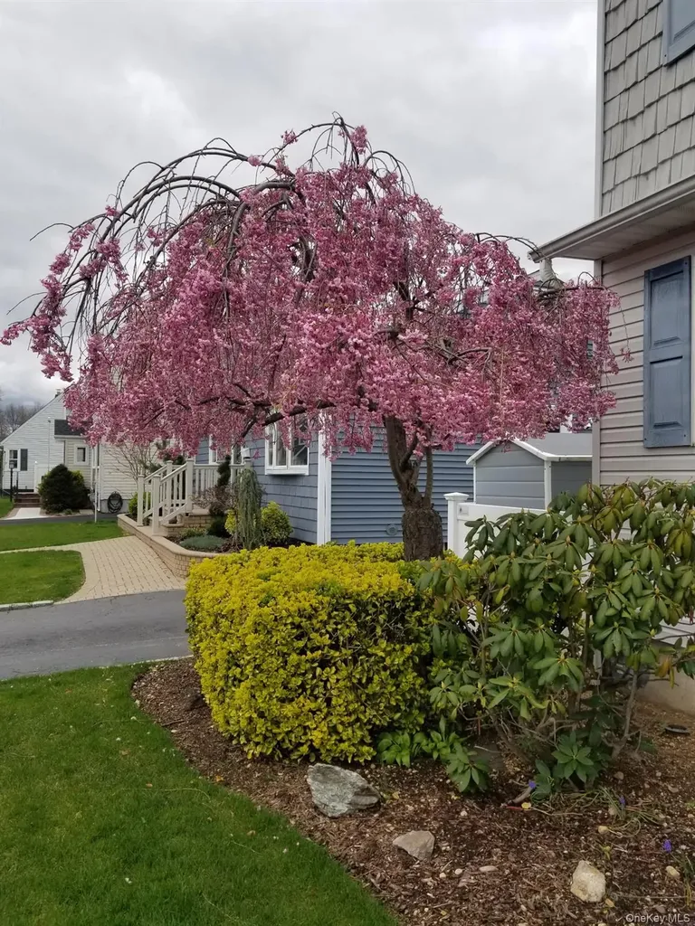 493 Kell Place Seaford NY 11783