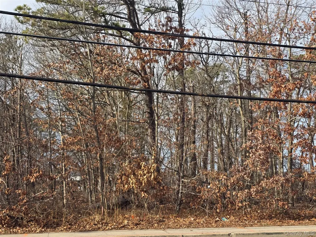 Vacant Land Mastic Road Shirley NY 11967
