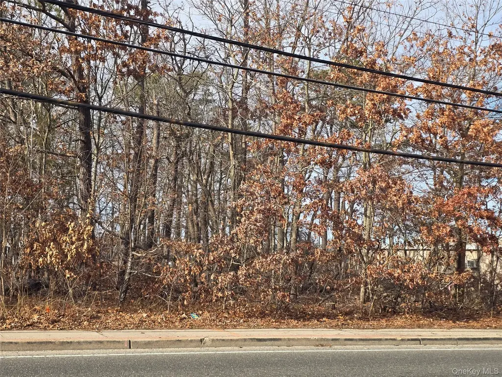 Vacant Land Mastic Road Shirley NY 11967