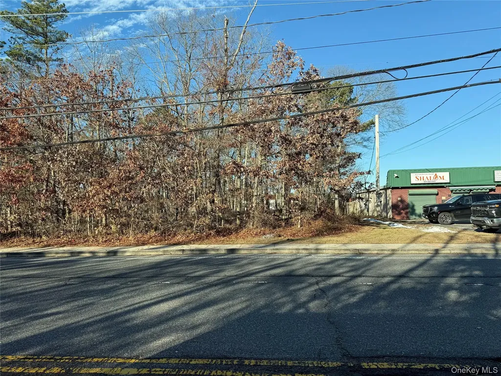 Vacant Land Mastic Road Shirley NY 11967
