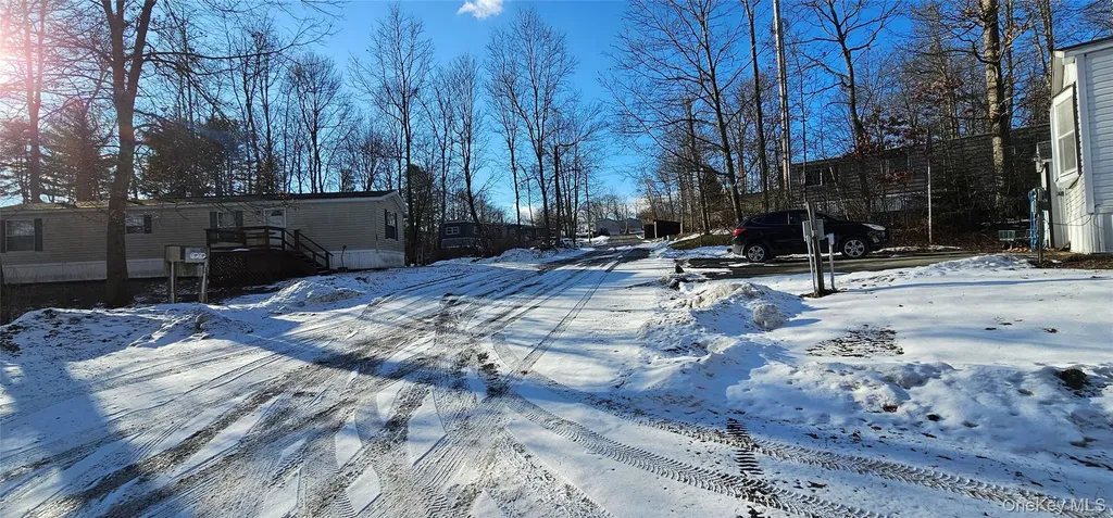 7965 State Route 52 Narrowsburg NY 12764