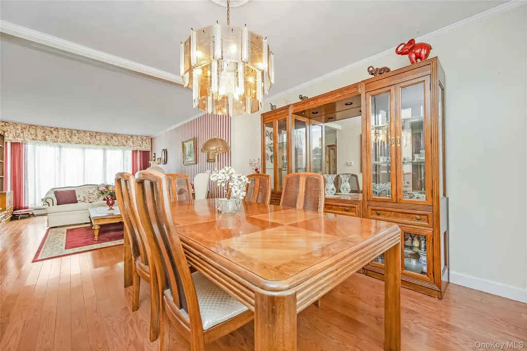 49 Amherst Drive Massapequa NY 11758