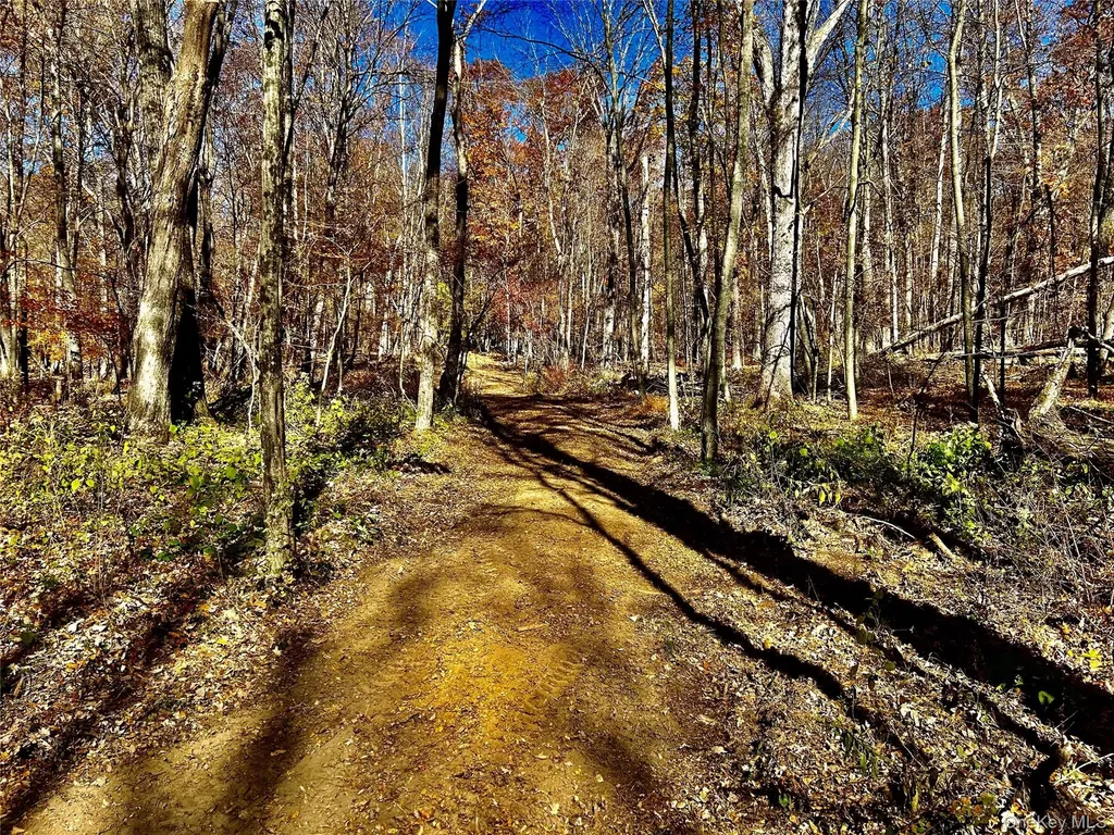 Westfall Ancram NY 12502