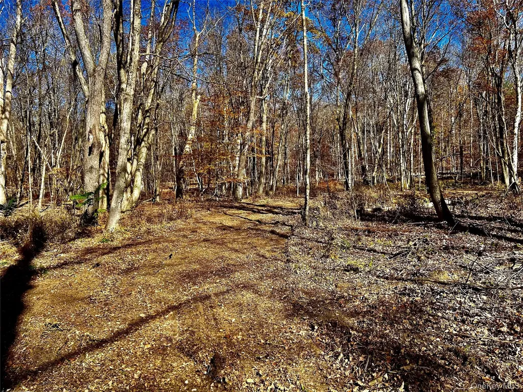 Westfall Ancram NY 12502