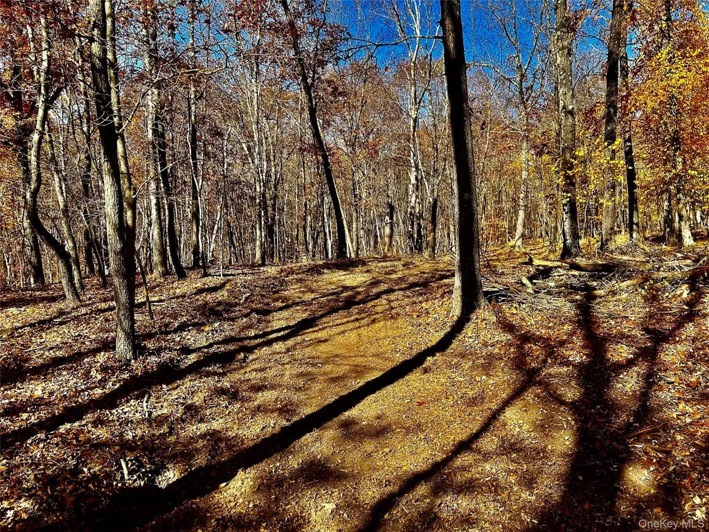 Westfall Ancram NY 12502