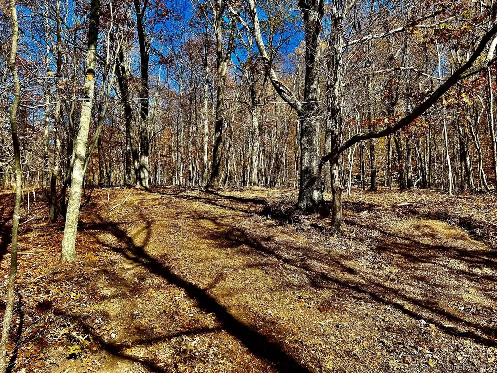 Westfall Ancram NY 12502