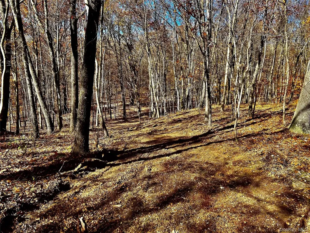 Westfall Ancram NY 12502