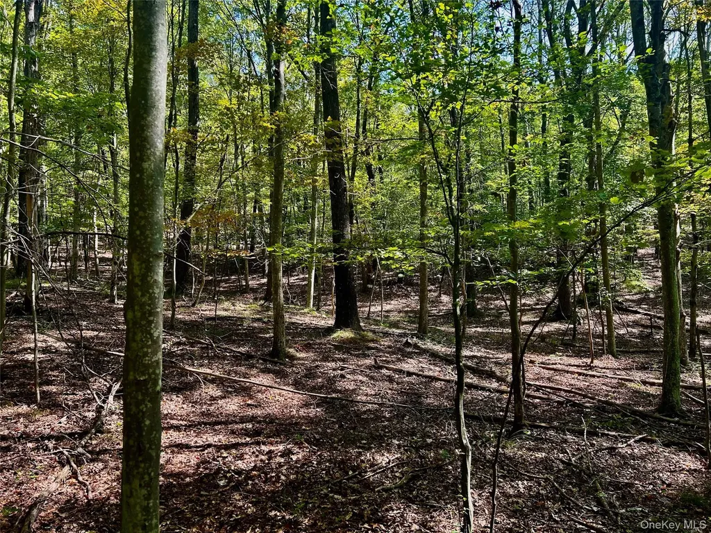 Westfall Ancram NY 12502