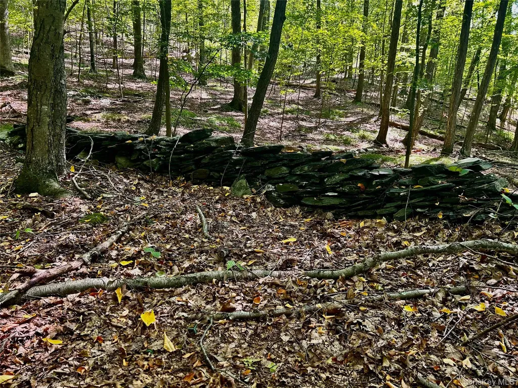 Westfall Ancram NY 12502