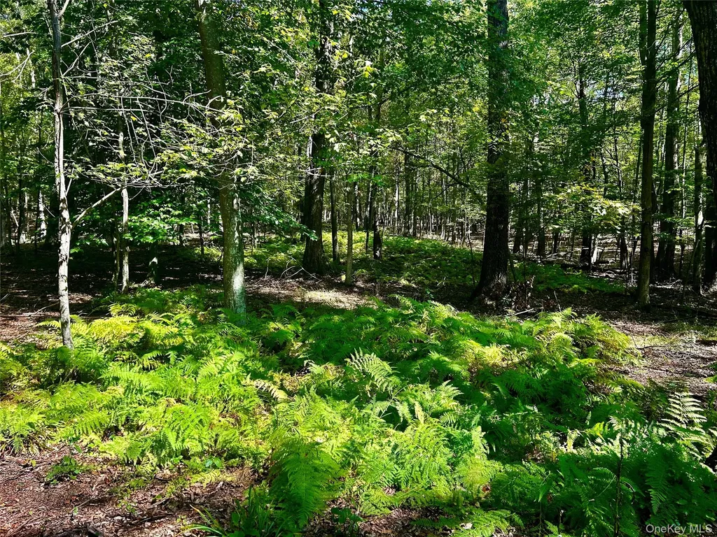 Westfall Ancram NY 12502