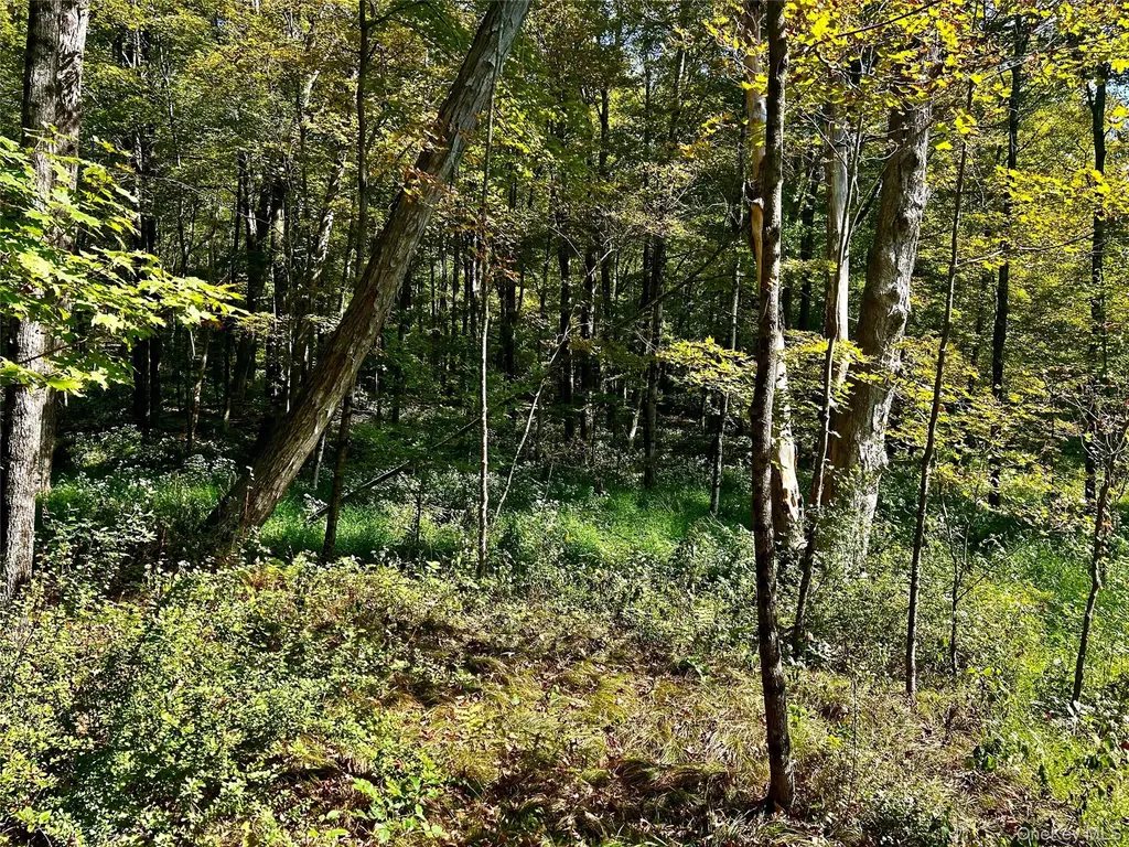 Westfall Ancram NY 12502