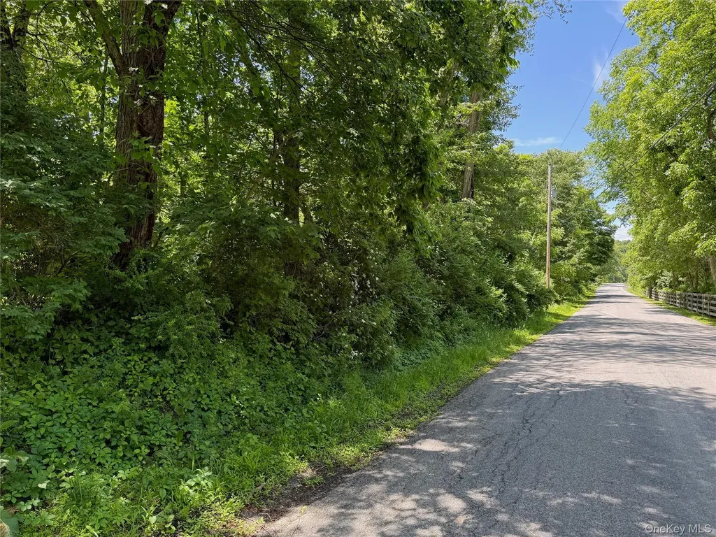 Schoolhouse Road Staatsburg NY 12580