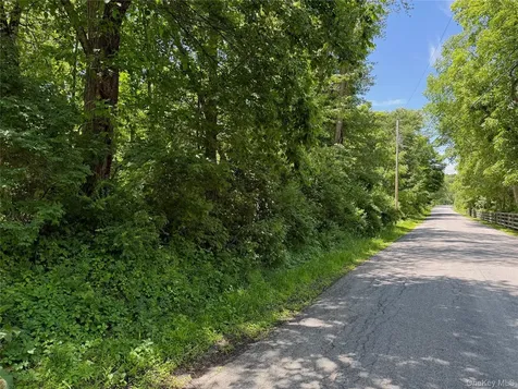 Schoolhouse Road Staatsburg NY 12580