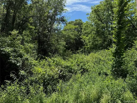 Schoolhouse Road Staatsburg NY 12580