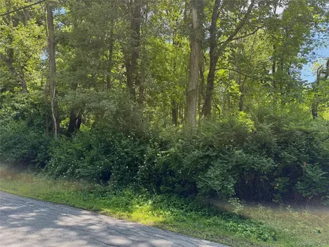 Schoolhouse Road Staatsburg NY 12580