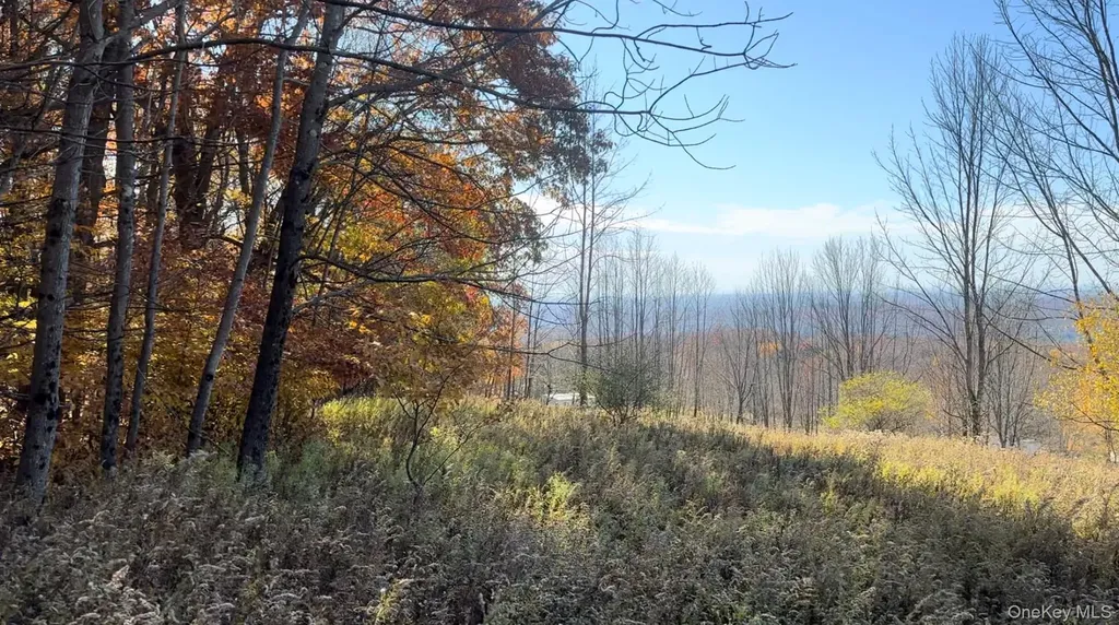 Chaffee Road Liberty NY 12754