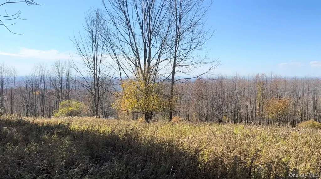 Chaffee Road Liberty NY 12754