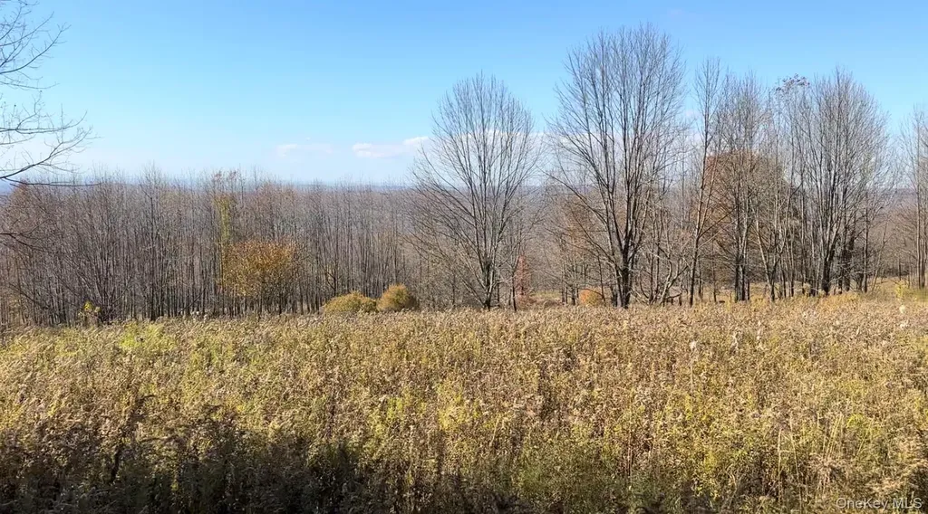 Chaffee Road Liberty NY 12754