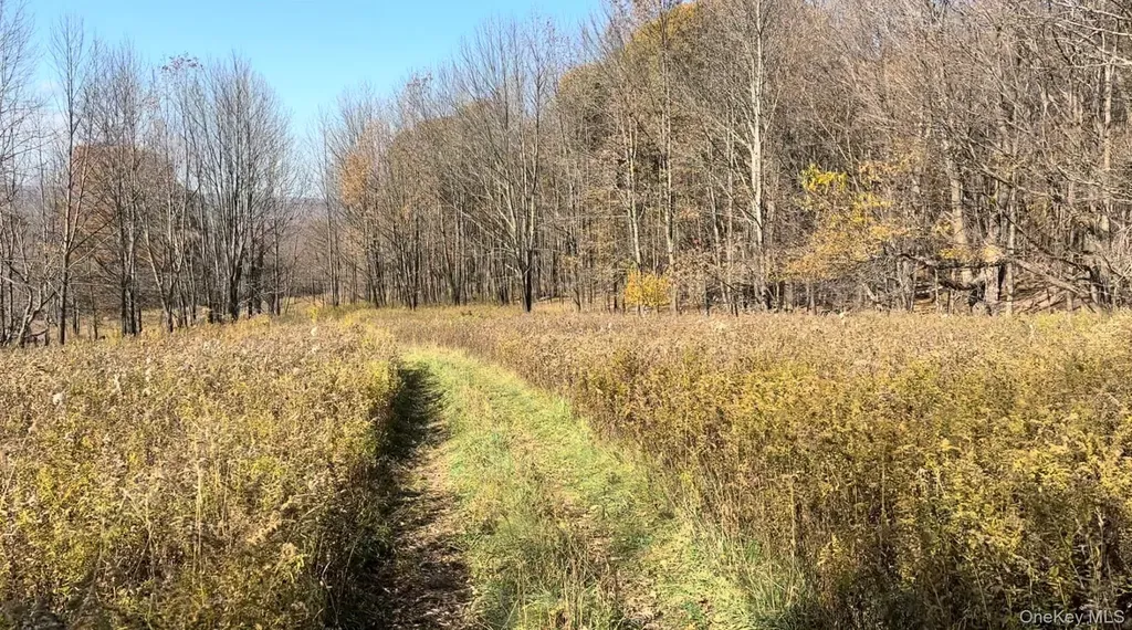 Chaffee Road Liberty NY 12754