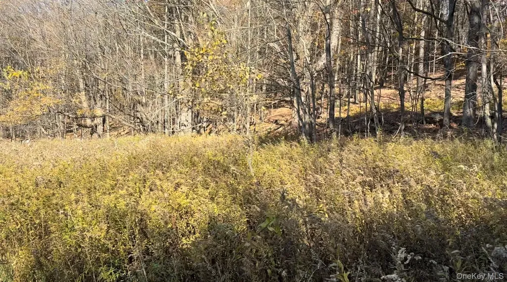 Chaffee Road Liberty NY 12754