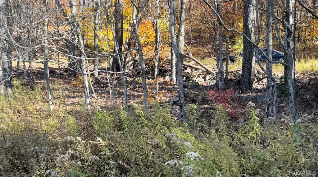 Chaffee Road Liberty NY 12754