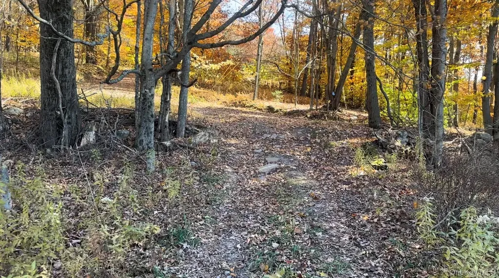 Chaffee Road Liberty NY 12754