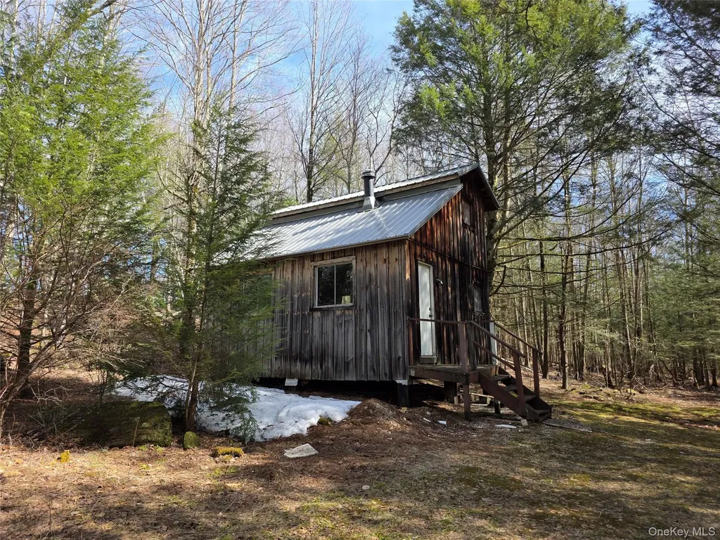 50 Low Road Neversink NY 12765